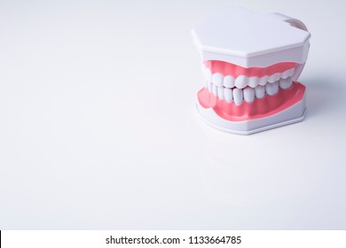 tooth model on white background - Shutterstock ID 1133664785