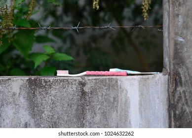 Toothbrush on the wall.