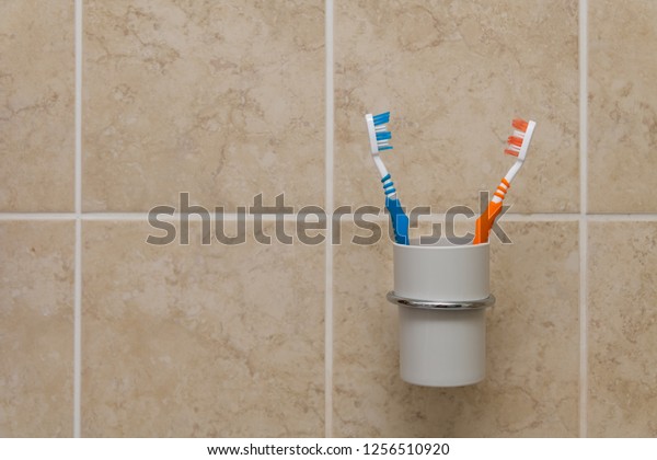 Toothbrushes in plastic cup holder on a tiled\
wall in a bathroom\
closeup