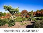 The Toowoomba Japanese Garden is a botanic garden established in 1989 for public recreation.