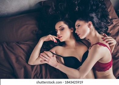 Top Above High Angle View Photo Of Two Girls Lesbians Have Seductive Sex Love She Look Passionate Her Charming Tender Partner Lie Bed In Bedroom House