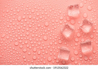Top above overhead close up view photo image of ice cubes on light pink backdrop with drops