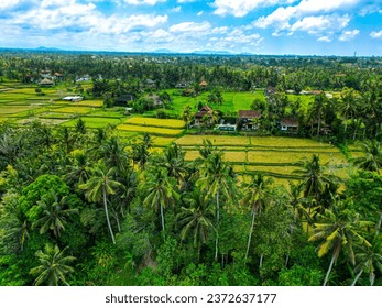 Top aerial drone view of Bali's tropical paradise. The lush beauty of the landscape with green rice fields, dense jungle, rolling hills, and swaying palm trees.   - Powered by Shutterstock