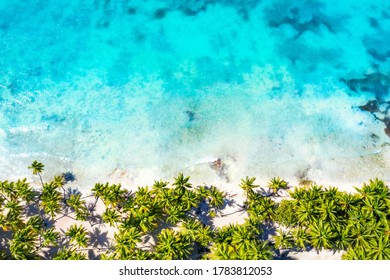 Top aerial drone view of beautiful beach with turquoise sea water and palm trees. Saona island, Dominican republic. Paradise tropical island nature background