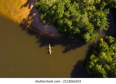 Top Aerial Photo Of The Yellow Kayak With Mother And Son Floating By Jungle Mangrove Trees Forest. Active People Traveling Concept.