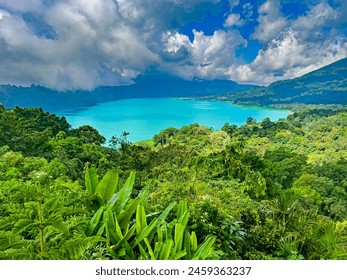 Top aerial view of a beautiful Buyan Lake, a tropical paradise, palm trees, exotic trees, and mountains in Bali - Powered by Shutterstock