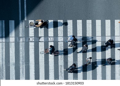 top aerial view of blur men and women in winter cloth and business dress walk and bike bicycle across crosswalk in street. Concept normal life of massive people with transportation.