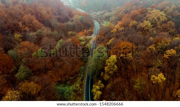 Top aerial view of empty\
forest road with autumn colors. Aerial view of curvy road in autumn\
forest. 