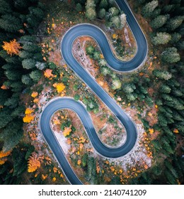 Top aerial view of famous Snake road near Passo Giau in Dolomite Alps. Winding mountains road in lush forest with orange larch trees and green spruce in autumn time. Dolomites, Italy - Powered by Shutterstock