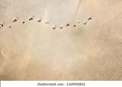 Top Aerial View Of Footsteps Footprints On Sand Dunes In Desert