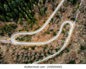 A Top Aerial View Of A Long Winding Road Surrounded By Fir Trees