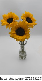 Top Angle View Of Three Yellow Sunflower Bouquet With Green Stems Submerged In A Half Filled Tapered Glass Vase On A White Surface And Background 