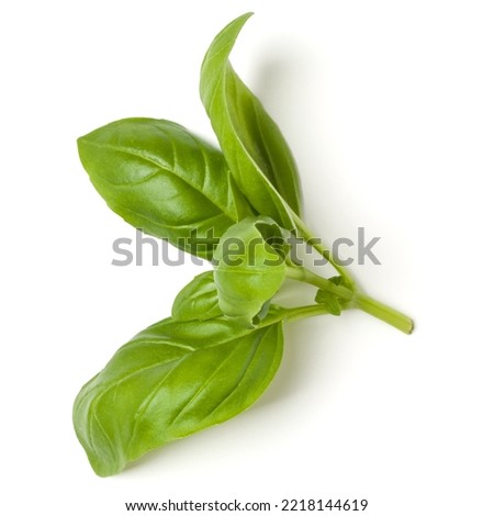 top of basil leaves isolated on white background closeup, top view Zdjęcia stock © 