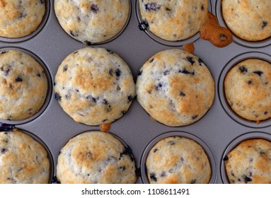 Top Close View Of Bite Size Blueberry Muffins In A Mini Muffin Baking Pan.