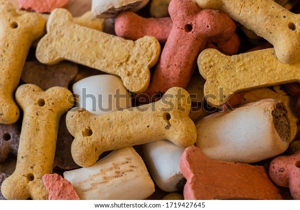Top Close Up View of Colorful Mix Dog Dry\
Biscuits Food Concept