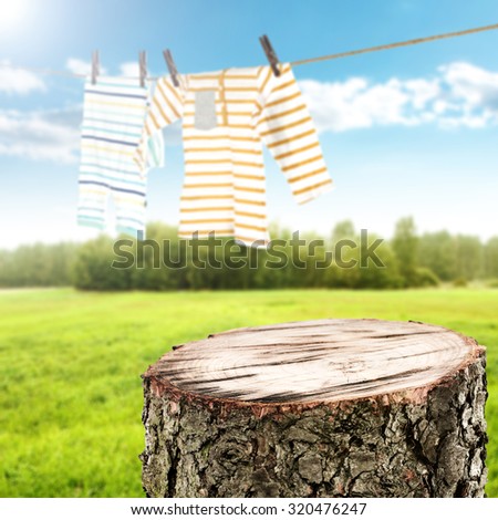 top of cut tree and landscape with grass and sky with rop of clothes 