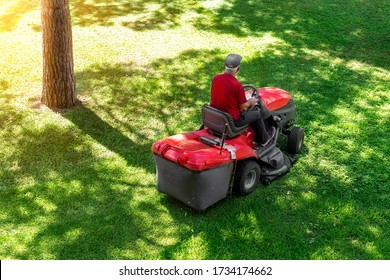 Top Down Above View Of Professional Lawn Mower Worker Cutting Fresh Green Grass With Landcaping Tractor Equipment Machine At City Park. Garden And Backyard Landscape Lawnmower Service And Maintenance