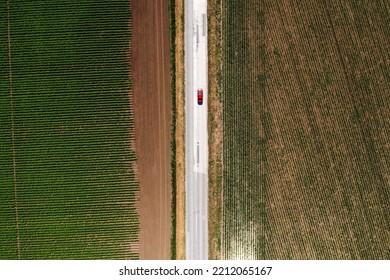 Top Down Aerial Shot Of Single Red Car Driving Along The Worn Road Through Cultivated Landscape, Drone Pov