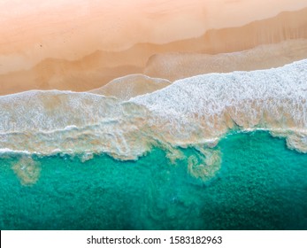 Top Down Aerial Of Sydney Beach