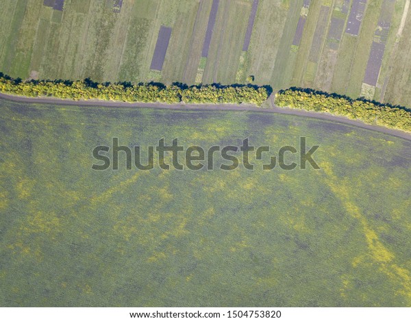 Top down aerial view of the agricultural fields
divided by vegetative barriers. Bird's-eye view of the grass fields
and meadows separated by forest buffer stripes. Summer day. Penza
region, Russia.