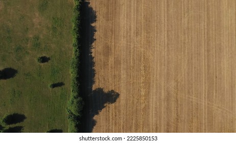 Top Down Aerial View of Green and Yellow Wheat Field Farm and Greenhouses. Golden Crops During Pasture Aerial View. Agricultural Work in Summer During Drought. Grain Crisis. Nature, Harvesting, Eco - Shutterstock ID 2225850153