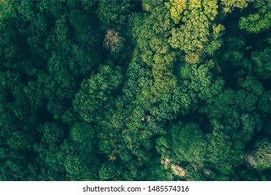 Top Down Aerial View Newbridge Park In Donabate, Dublin County Ireland. Bird Eye Cinematic Photography