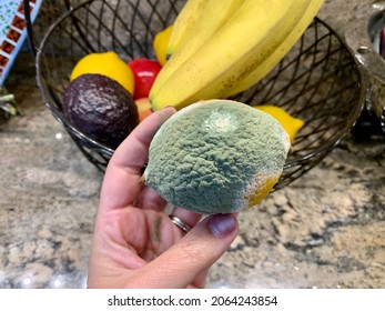 The top down, close up image of a woman with manicured nails holding up a moldy lemon. The growth is green, white, and powdery. There is a fruit bowl in the back with bananas, avocadoes, and lemons.