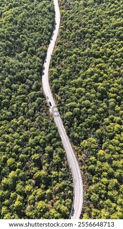 Top down close up simple blocky pixel image of a field with trees and road, 16:9 portrait aspect ratio, a road split in two, winding road, large forest, clean road