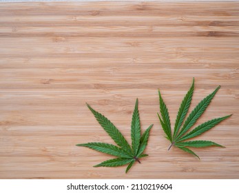 TOP DOWN, CLOSE UP, COPY SPACE: Two Sativa Marijuana Leaves Lie On The Wooden Kitchen Countertop. Homegrown Weed Leaves Sitting On The Wood Surface. Lush Green Indica Leaves On Wooden Countertop.