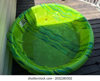 The Top Down, Close Up View Of A Small Plastic Pool Sitting In The Shade On A Deck. The Pool Is Textured On The Bottom For Grip And Is Lime Green With Blue Stripes.