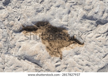 A top down close up view of a small puddle filled with sea water inside a deep indentation on a weathered stone pier.