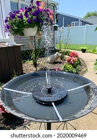 The top down, close up view of a solar powered fountain bird bath. The water is shooting up through the nozzle and falling down in a sprinkle. The fountain is in the middle of a flower garden.