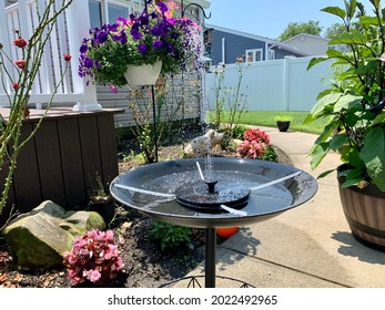 Watering the flowers in a great free down blouse video