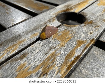 The top down, close up view of a Spiny Oakworm Moth sitting on a wooden picnic table. - Shutterstock ID 2258566011