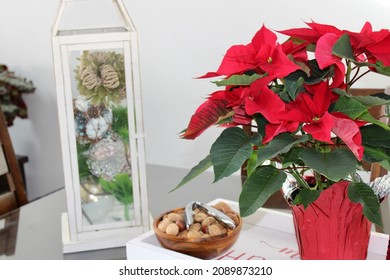 The Top Down, Close Up View Of A Tray Sitting On Top Of A Kitchen Table. The Tray Reads MERRY CHRISTMAS And Is Holding A Nut Bowl, A Bright Red Poinsettia Plant, And A Lantern Filled With Green Balls.