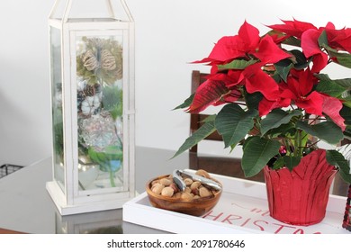 The Top Down, Close Up View Of A Tray Sitting On Top Of A Kitchen Table. The Tray Reads MERRY CHRISTMAS And Is Holding A Nut Bowl, A Bright Red Poinsettia Plant, And A Lantern Filled With Green Balls.