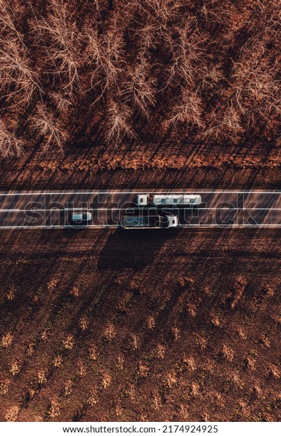 Top down drone photo of two trucks\
and car on the road through woodland in autumn sunset, warm\
sunlight casting long shadows on vehicles and asphalt\
roadway