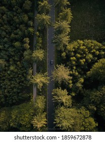 Top Down Drone Shot Of A Car Driving On The Road In A Forest Sunny Day Outdoors Aerial Top Down View