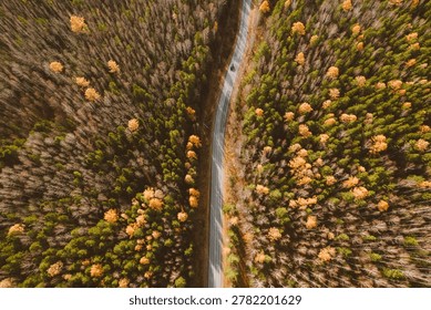 Top down drone view of a curving asphalt road cutting through mixed autumn forest with colorful trees and a car, in the Ural Mountains region, Russia