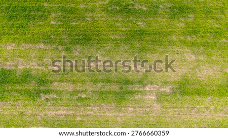 Top down horizontal view displaying distinct striped patterns across a farming field created by alternating bands of green growing crops and barren brown earth