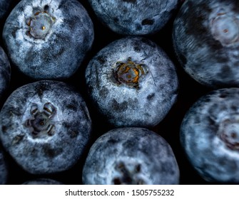 top down macro close up view of blueberries uniformly presented for background image. 
dark shallow depth of field of fresh vitamin packed fruit