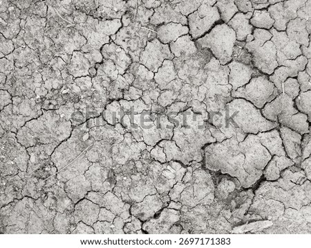 A top down macro view of dry, cracked earth. A barren, arid soil texture background for concepts of drought, global warming, or climate change.