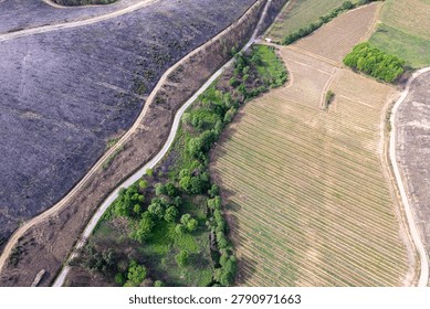 Top down perspective of devastated woodland next to plowed land The Concept of destruction and agriculture