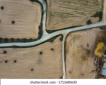 Top Down Symmetrical View Of Streets