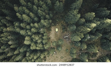 Top down tent at mountain pine forest aerial. Nature autumn landscape. Pavilion camp for tourists rest and recreation. Mountaineering lifestyle. Vacation at Carpathians fir mount, Ukraine, Europe - Powered by Shutterstock