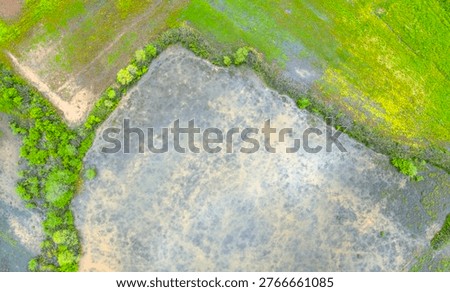 Top down vertical drone view showcasing strangely beautiful flooded farming fields separated by thin green tree lines creating abstract watery compartments across the earth