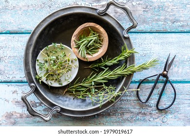 Top Down View Of An Antique Metal Bowl Filled With Small Bowls Holding Clippings Of Thyme And Rosemary.