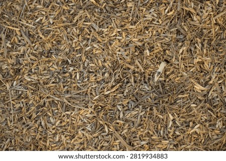 Top down view background texture of dry rice husks chaff and grain residue after harvest