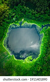 Top down view of blooming algae on lake in summer, Poland