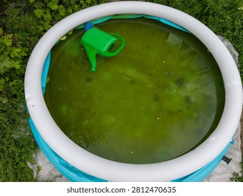 Top down view of a blue inflatable pool completely filled with green algae infested water.